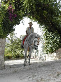 villa Notario entree met paard